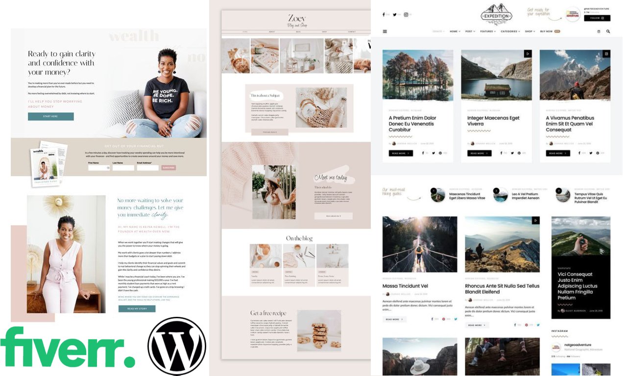 Our agency will develop a professional blog WordPress website