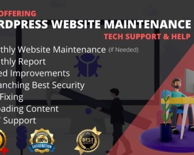 I-will-provide-wordpress-maintenance-and-support-or-help-9